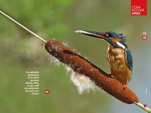 La Rivista della Natura-Air 2/2014