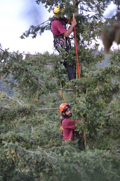 Il team di SuperAlberi in azione